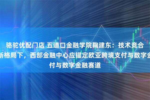 骆驼优配门店 五道口金融学院鞠建东：技术竞合与金融新格局下，西部金融中心应锚定欧亚跨境支付与数字金融赛道