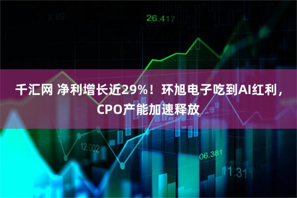千汇网 净利增长近29%！环旭电子吃到AI红利，CPO产能加速释放